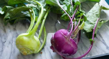 Kedlubnové zelí: pěstování podle rad letních obyvatel